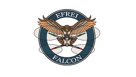Logo Efrei Falcon - Associations technologiques - Efrei - Ecole ingénieur informatique